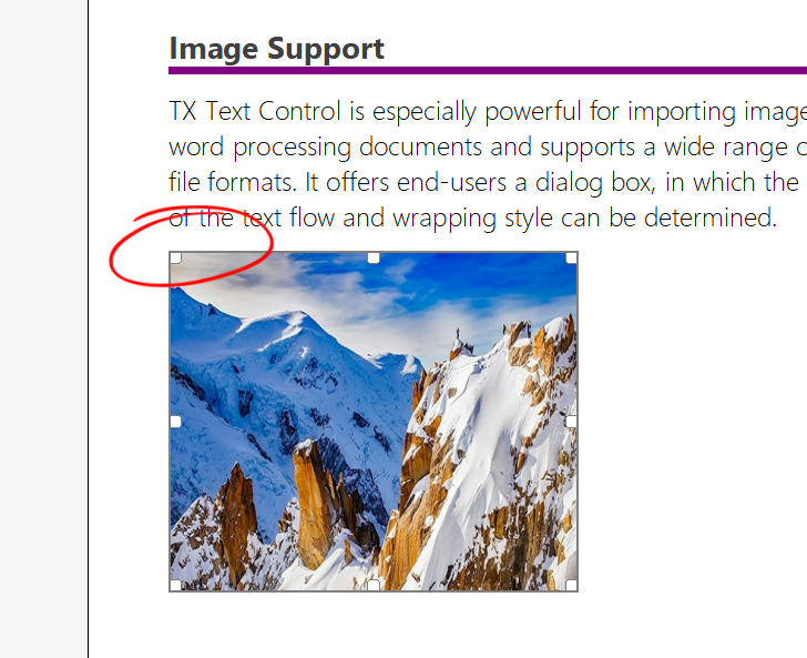 Comparing Documents