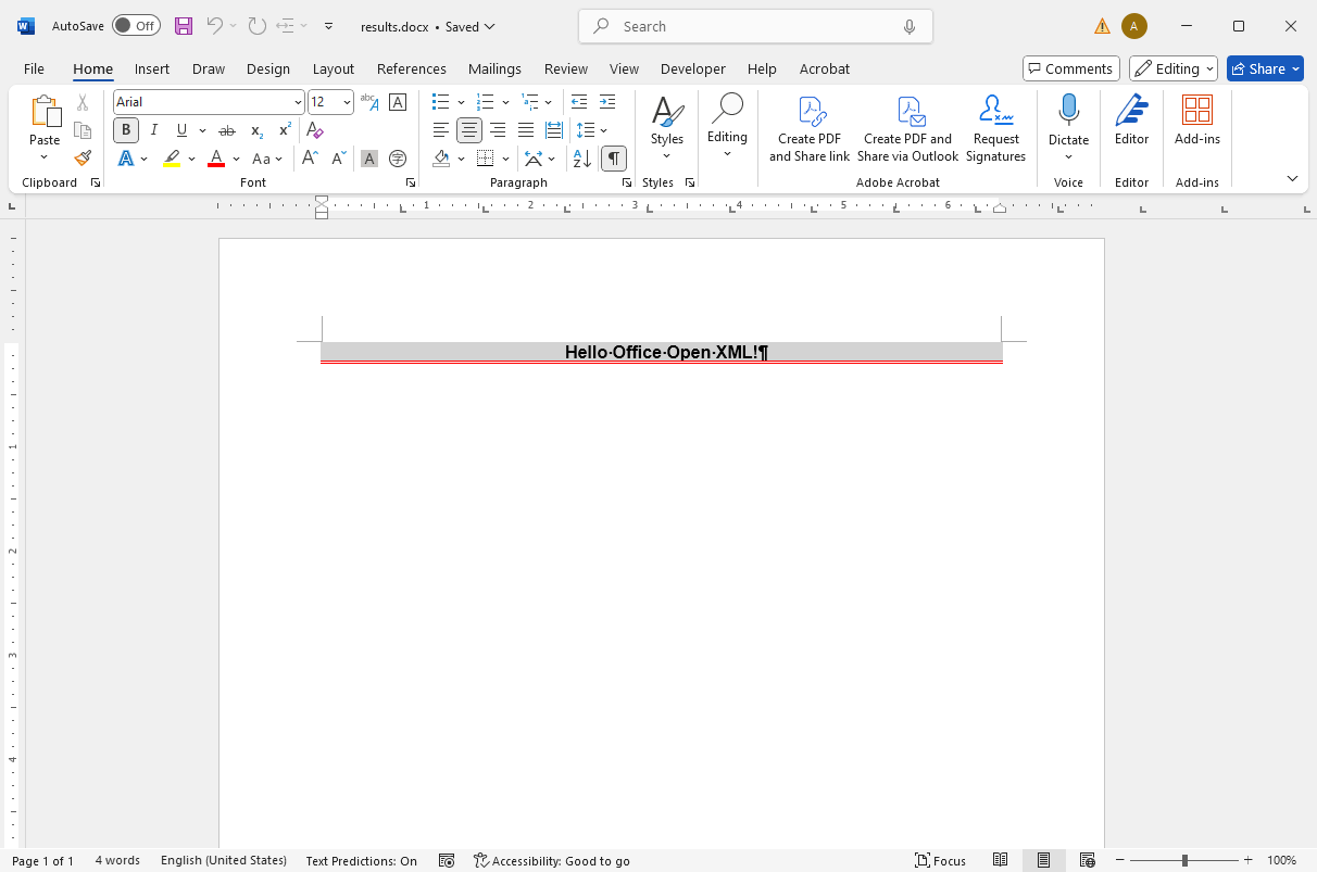 MS Word Document